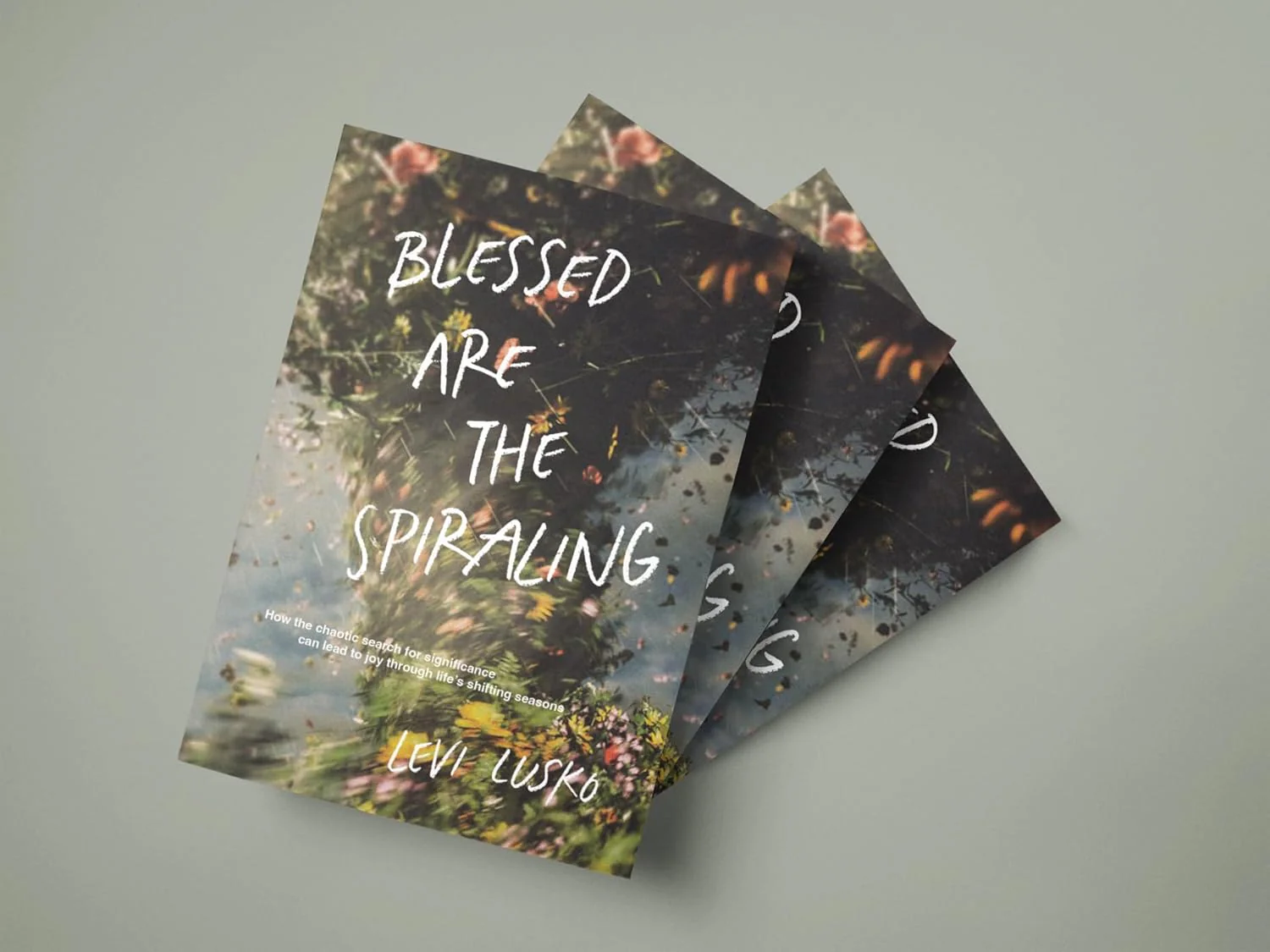 Blessed Are the Spiraling // Levi Lusko - Image 3