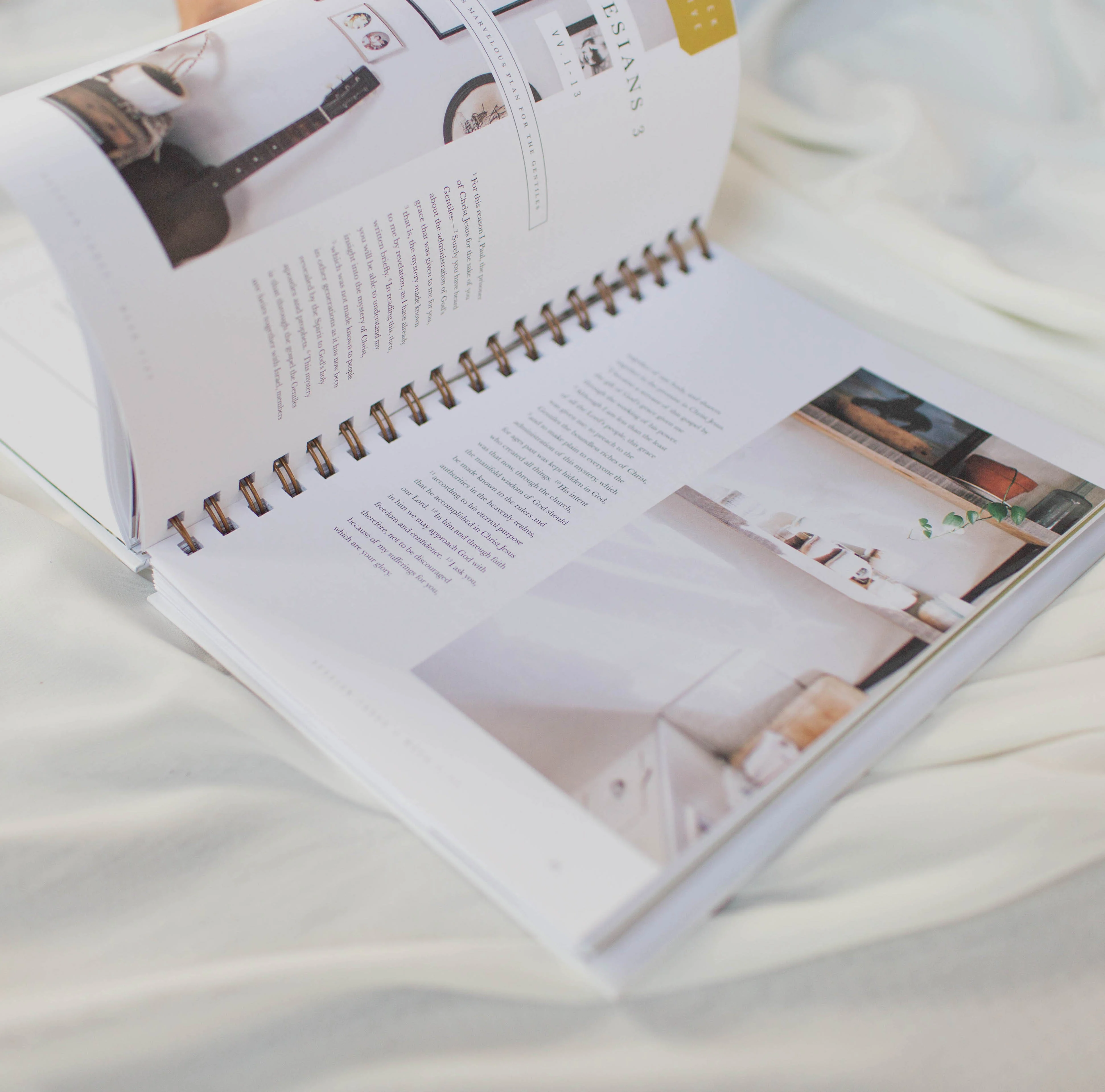 Flourish: A Mentoring Journey - Year Two - Image 3