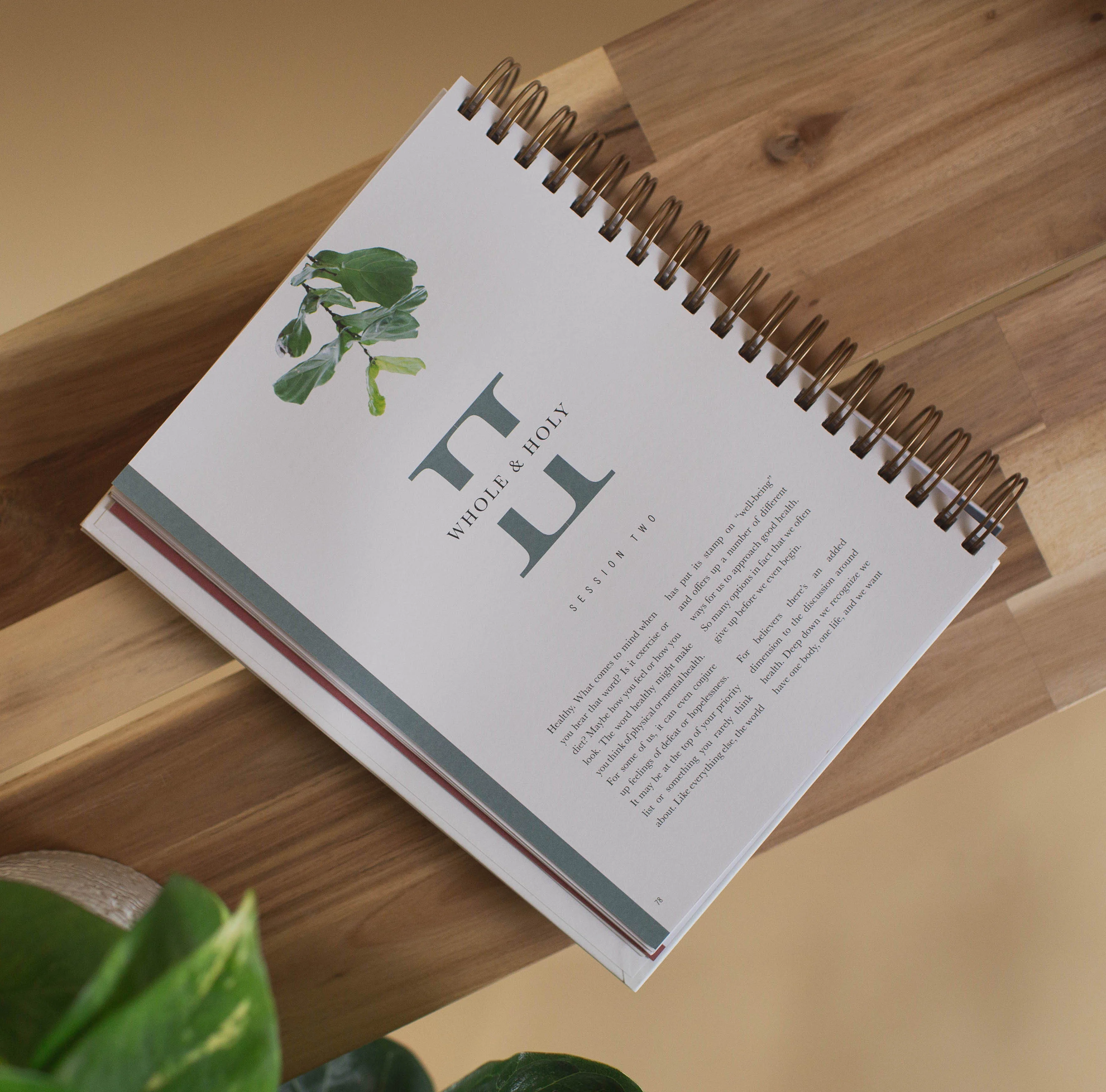 Flourish: A Mentoring Journey - Year Two - Image 4