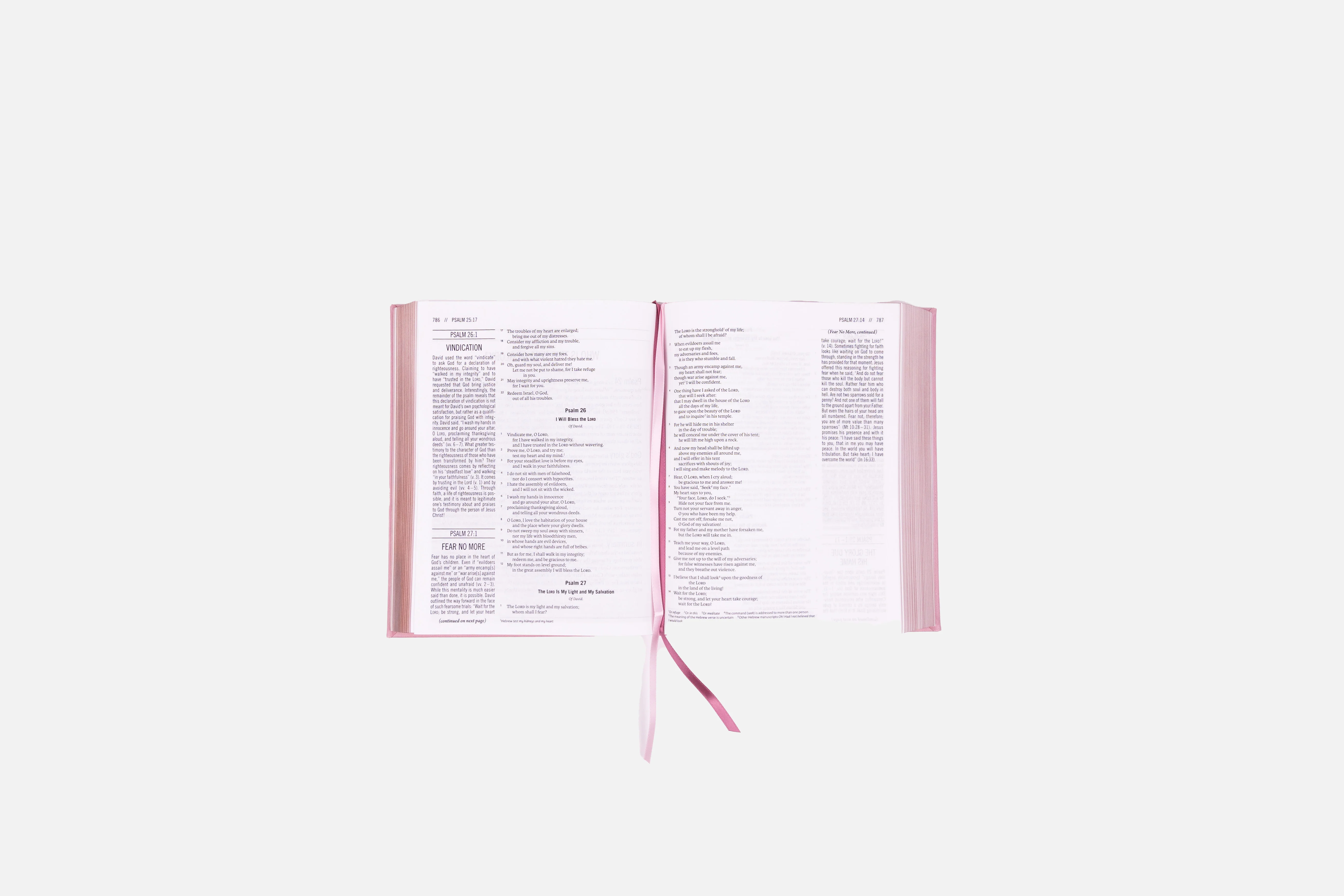 The Jesus Bible - ESV - Pink Leathersoft - Image 7