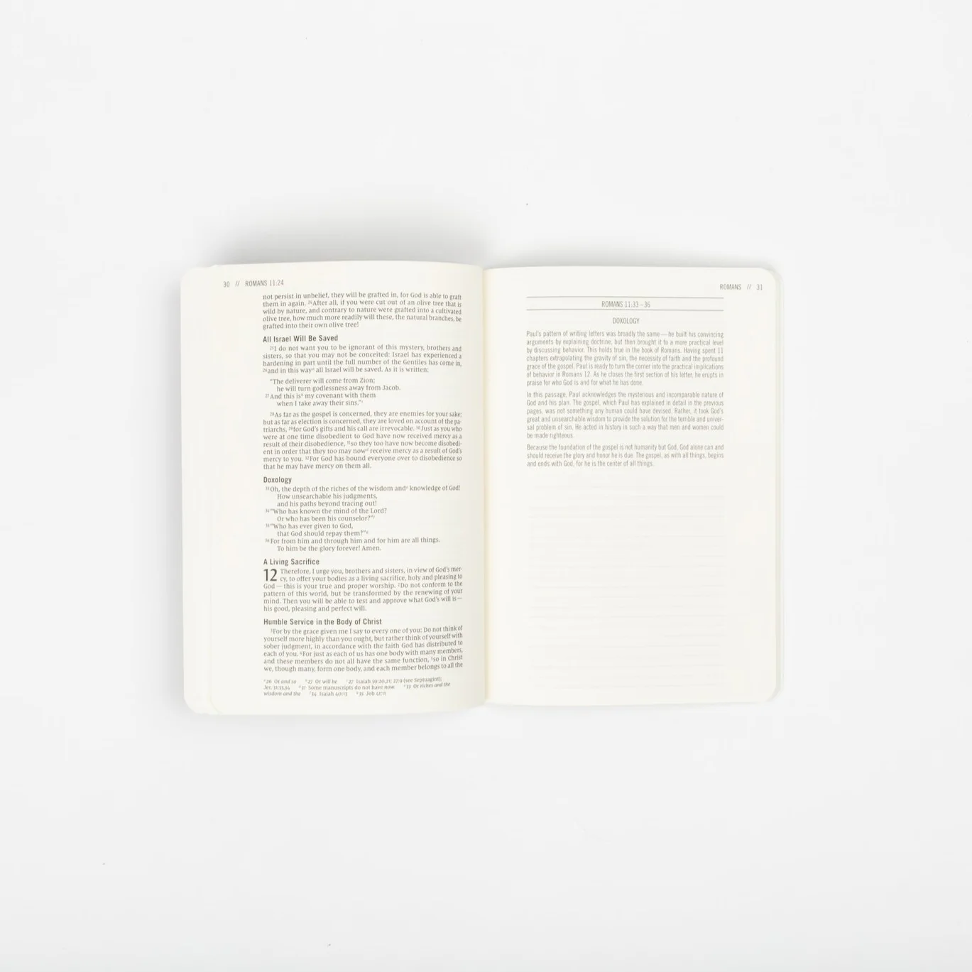 The Jesus Bible Journals - Mark - Image 3